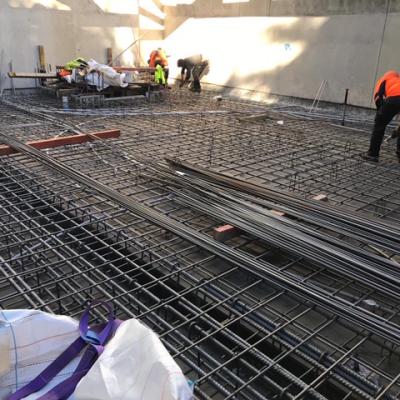 Parouse Road Randwick 1