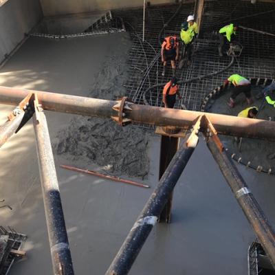 Parouse Road Randwick 3