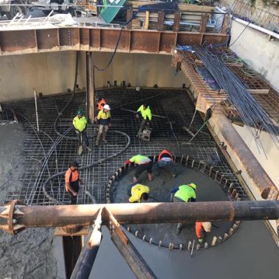 Parouse Road Randwick 5