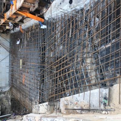 Parouse Road Randwick 9